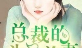 黑总前妻最新爆料小说,揭开豪门背后的惊天秘密