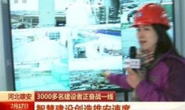 河北石家庄农民爆料视频,揭秘农村现状，引发社会关注